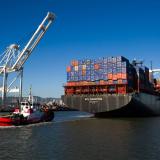 pol trade2813 01 630x420
